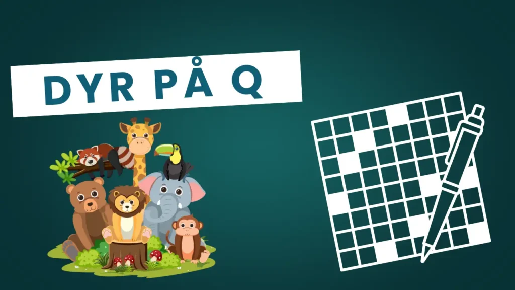 Dyr På Q