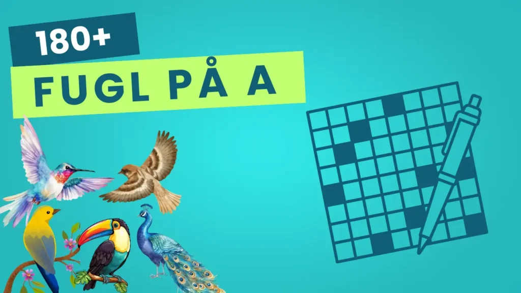 Fugl på A