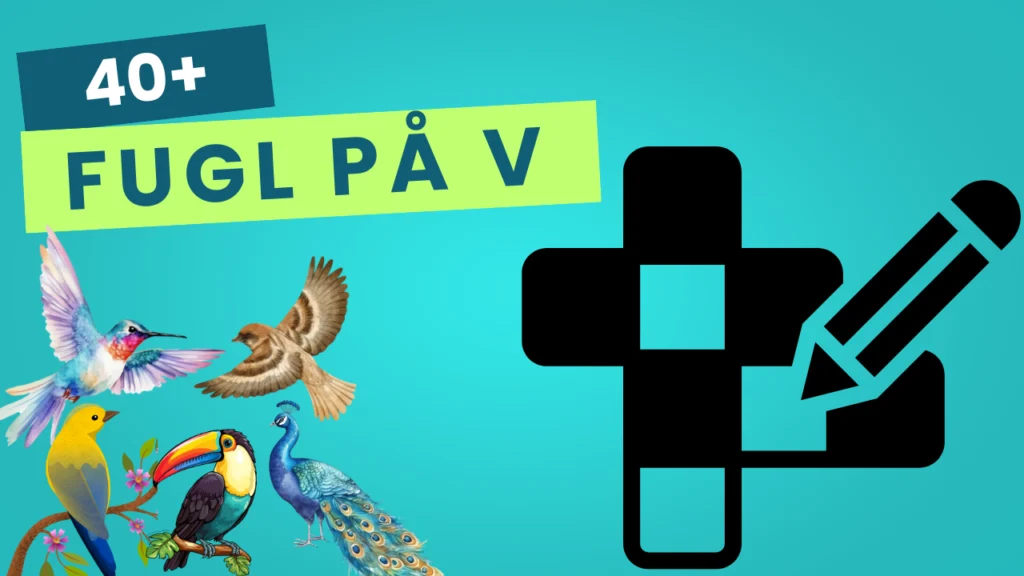 Fugl På V