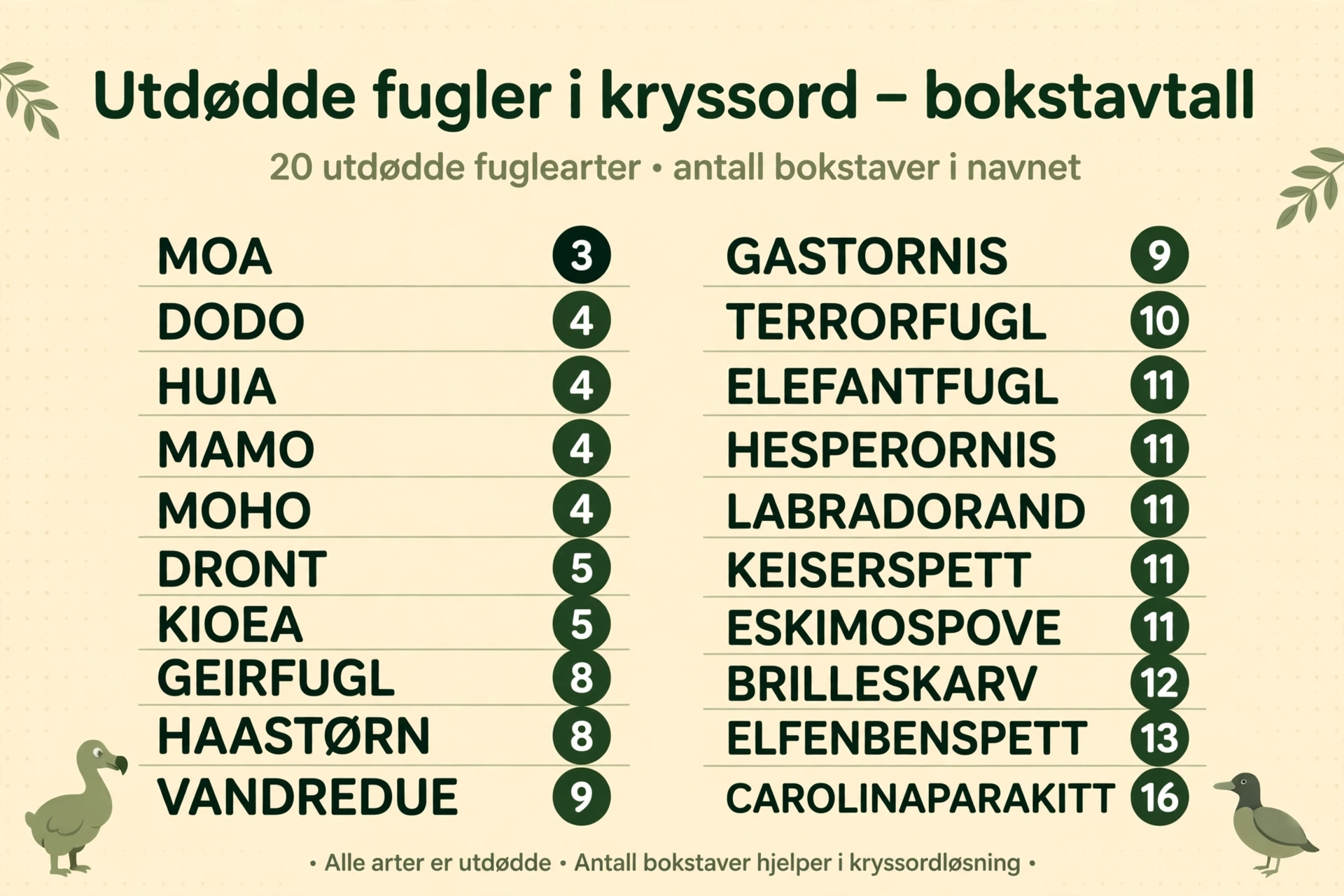 Infografikk: de mest brukte utdødde fuglenavnene i kryssord gruppert etter antall bokstaver, fra MOA med 3 bokstaver til CAROLINAPARAKITT med 16