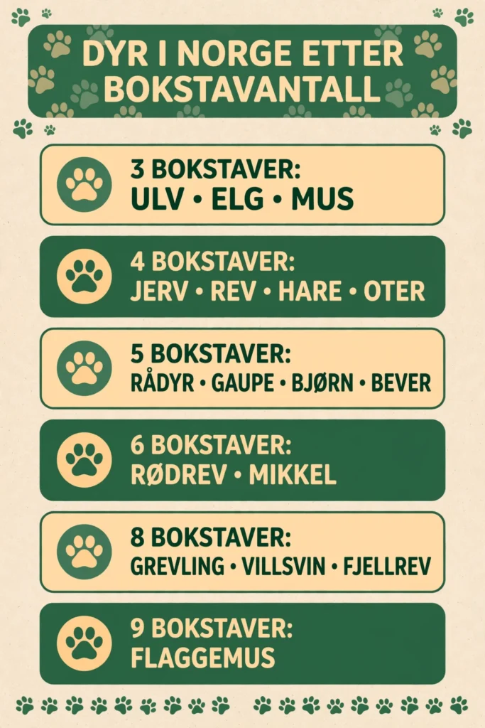 Infografikk: norske dyr i kryssord sortert etter antall bokstaver, fra ulv og elg til flaggermus